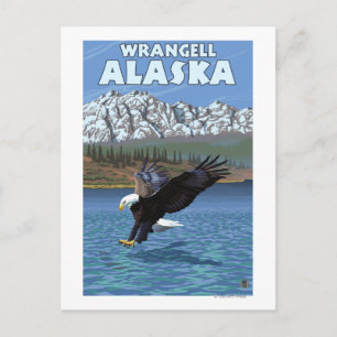 Bald Eagle Diving - Wrangell, Alaska Postcard