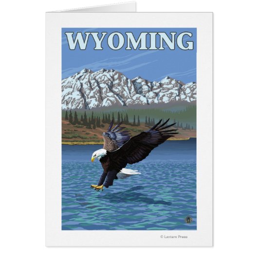 Bald Eagle Diving - Wyoming (Front)