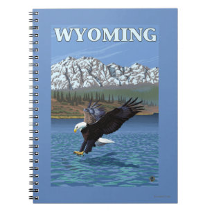 Bald Eagle Diving - Wyoming Notebook
