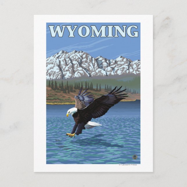 Bald Eagle Diving - Wyoming Postcard (Front)