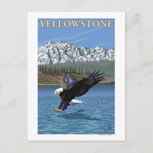Bald Eagle Diving - Yellowstone National Park Postcard