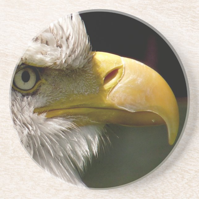 BALD EAGLE DRINK COASTER (Front)