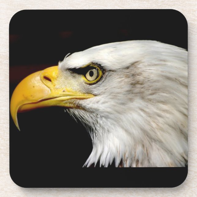 Bald Eagle Drink Coaster (Front)
