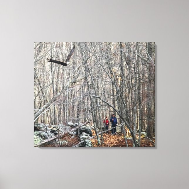 Bald Eagle Encounter Canvas Print (Front)