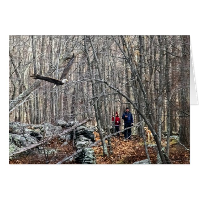 Bald Eagle Encounter Cards (Front Horizontal)