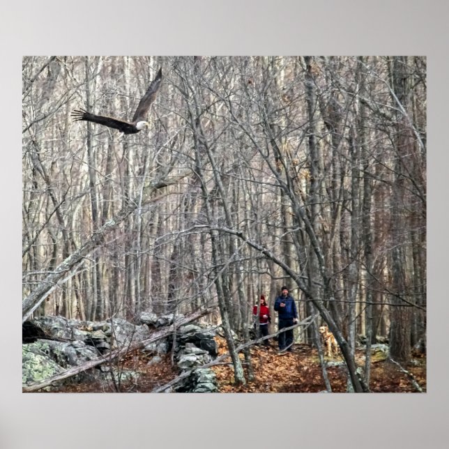 Bald Eagle Encounter Poster (Front)