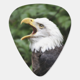 Bald eagle face guitar pick