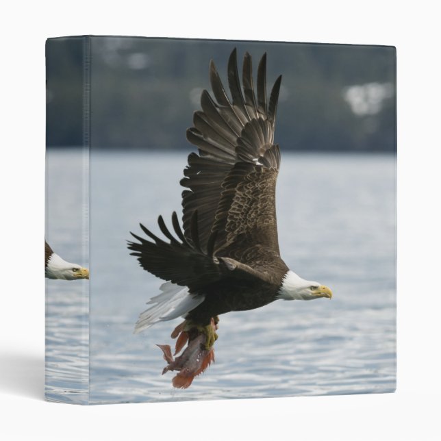 Bald Eagle Fish Retrieval 3 Ring Binder (Front/Spine)