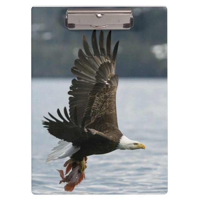 Bald Eagle Fish Retrieval Clipboard (Front)
