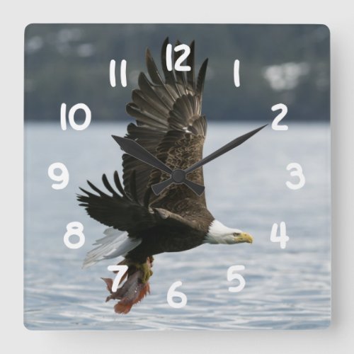 Bald Eagle Fish Retrieval Square Wall Clock