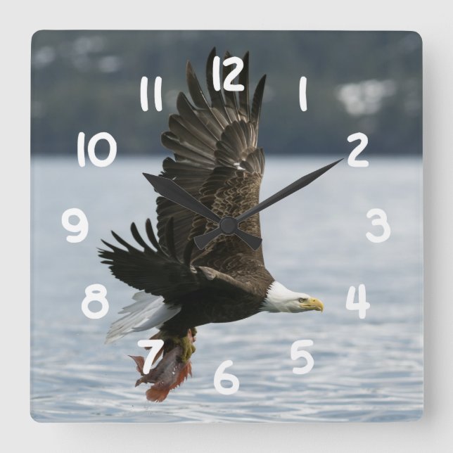 Bald Eagle Fish Retrieval Square Wall Clock (Front)