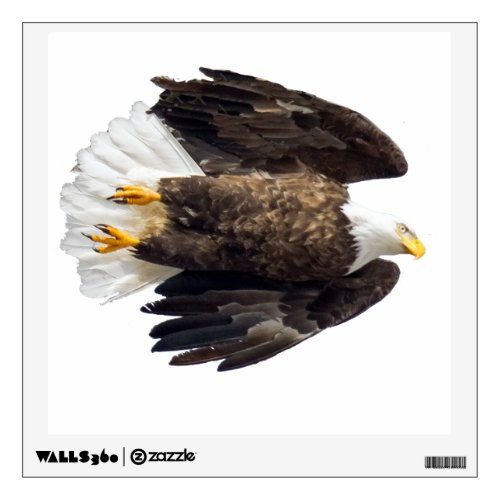 Bald Eagle Flash Wall Decal