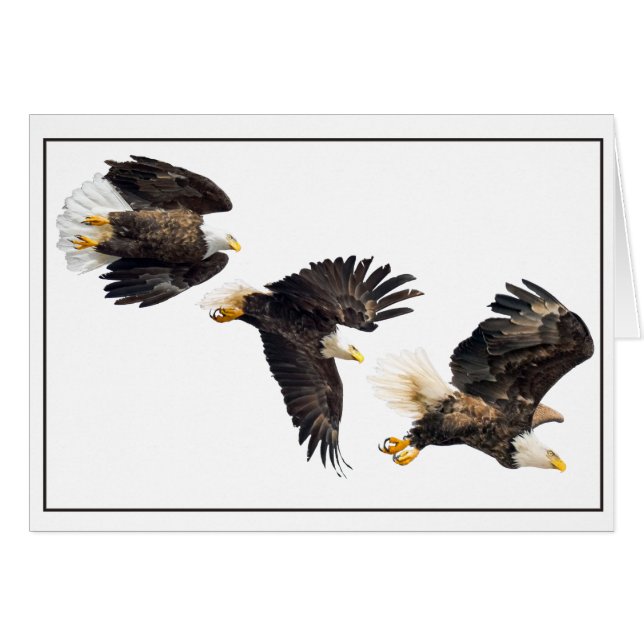 Bald Eagle Flight Cards (Front Horizontal)