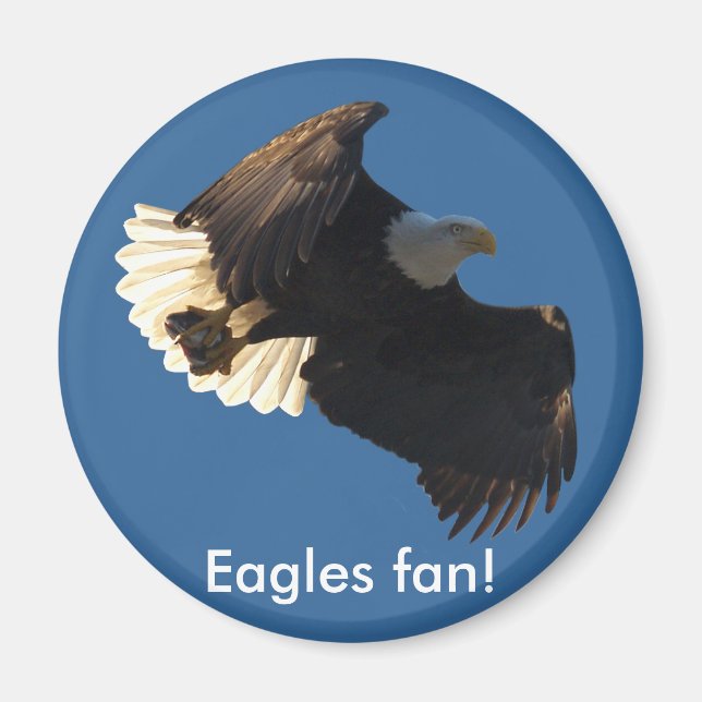 Bald Eagle Flight Collection II Magnet (Front)