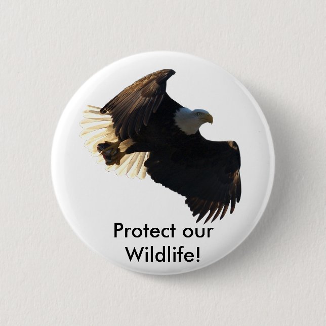 Bald Eagle Flight Collection II Pinback Button (Front)