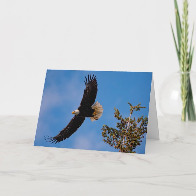 Bald Eagle Flight  Thank You Card (Front)