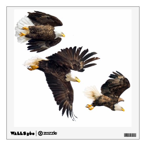 Bald Eagle Flight Wall Decal