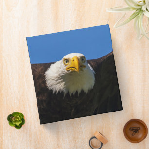 Bald Eagle Flyby Up Close 3 Ring Binder
