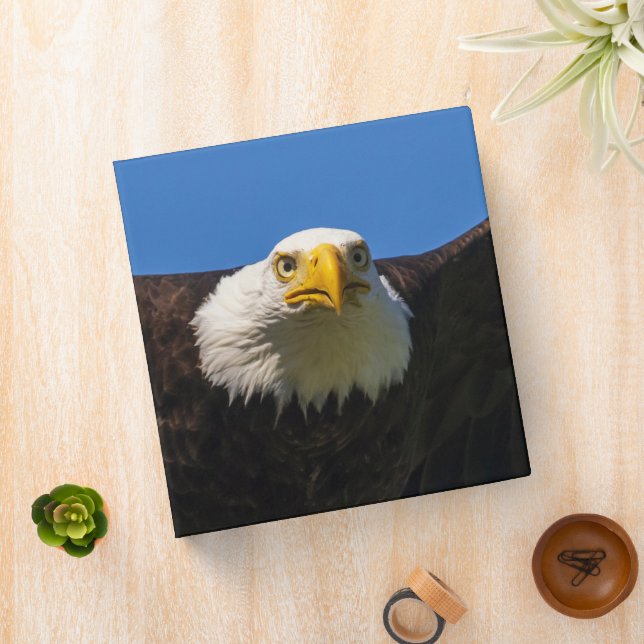 Bald Eagle Flyby Up Close 3 Ring Binder (In Situ)