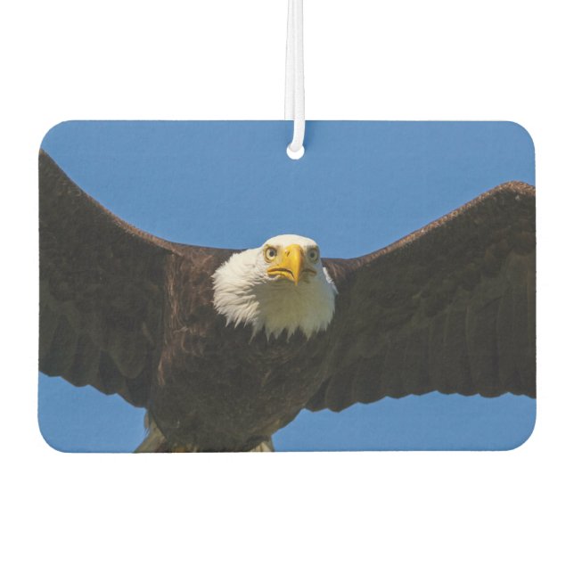 Bald Eagle Flyby Up Close Air Freshener (Front)