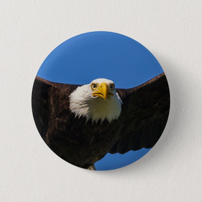 Bald Eagle Flyby Up Close Button (Front)