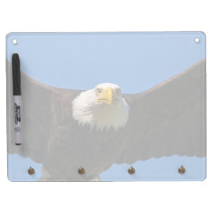 Bald Eagle Flyby Up Close Dry Erase Board With Keychain Holder
