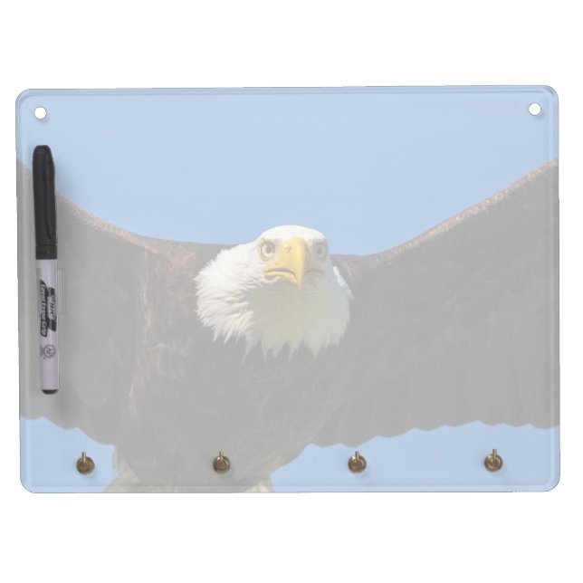 Bald Eagle Flyby Up Close Dry Erase Board With Keychain Holder (Front)