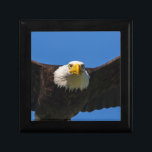 Bald Eagle Flyby Up Close Gift Box<br><div class="desc">Bald Eagle flyby up close</div>