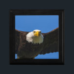 Bald Eagle Flyby Up Close Gift Box<br><div class="desc">Bald Eagle flyby up close</div>