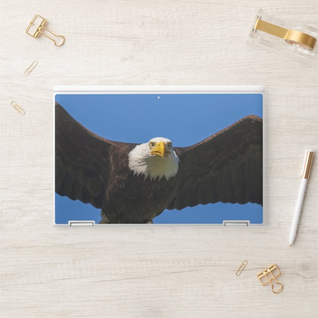 Bald Eagle Flyby Up Close HP Laptop Skin (Desk)