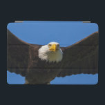 Bald Eagle Flyby Up Close iPad Mini Cover<br><div class="desc">Bald Eagle flyby up close</div>