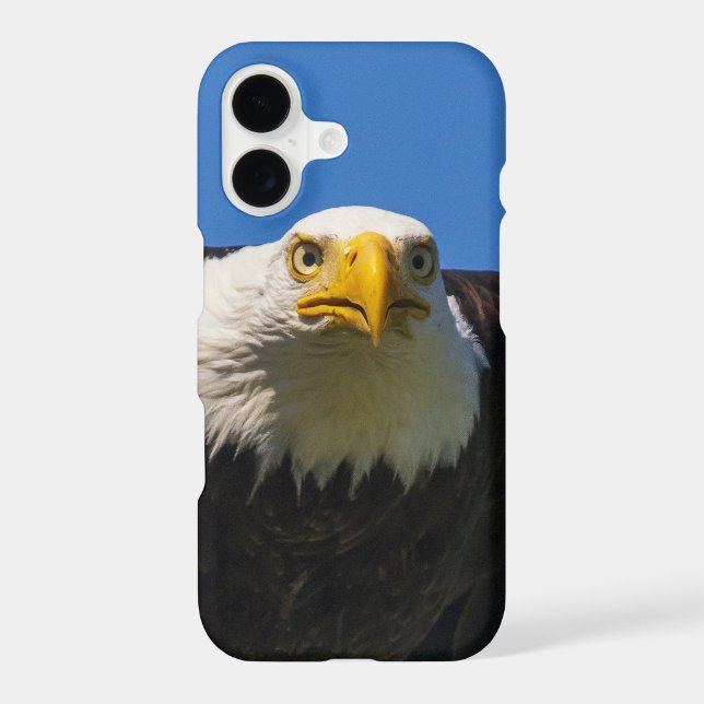 Bald Eagle Flyby Up Close Iphone Case (Back)