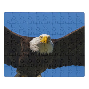 Bald Eagle Flyby Up Close Jigsaw Puzzle
