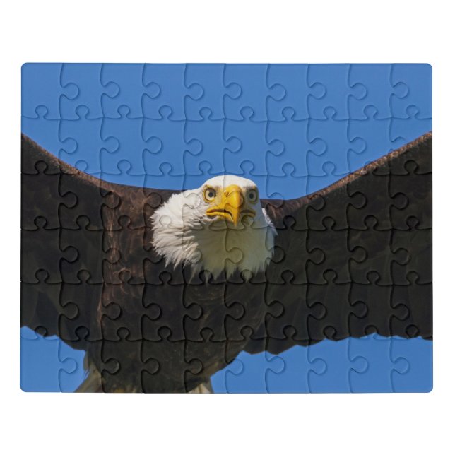 Bald Eagle Flyby Up Close Jigsaw Puzzle (Puzzle Horizontal)