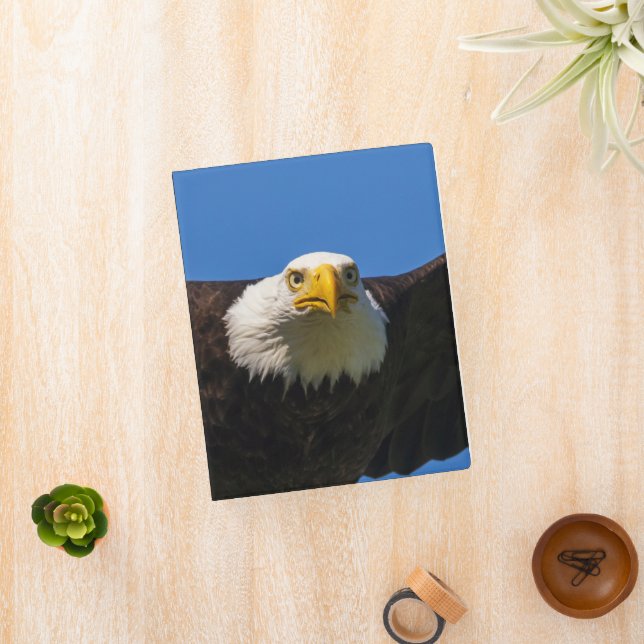 Bald Eagle Flyby Up Close Mini Binder (InSitu)
