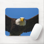 Bald Eagle Flyby Up Close Mouse Pad<br><div class="desc">Bald Eagle flyby up close</div>