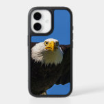 Bald Eagle Flyby Up Close iPhone 17 Case<br><div class="desc">Bald Eagle flyby up close</div>