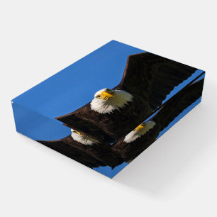 Bald Eagle Flyby Up Close Paperweight