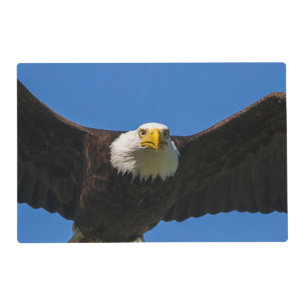 Bald Eagle Flyby Up Close Placemat