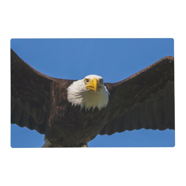 Bald Eagle Flyby Up Close Placemat (Front)