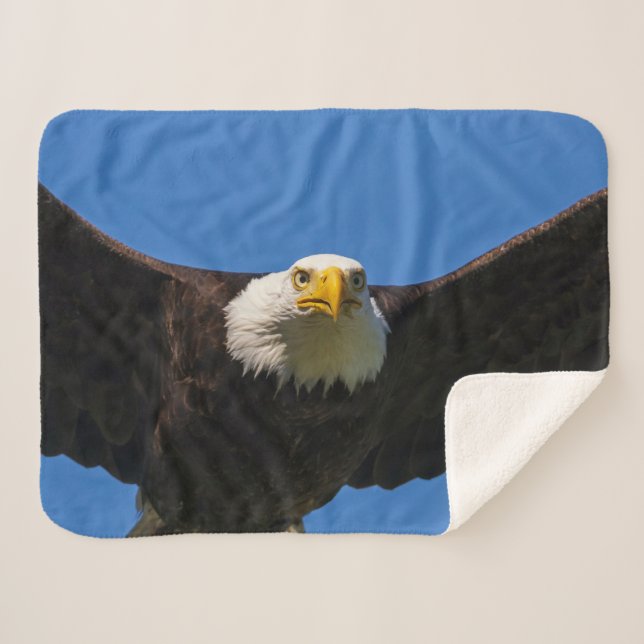 Bald Eagle Flyby Up Close Sherpa Blanket (Front (Horizontal))