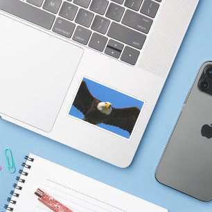 Bald Eagle Flyby Up Close Sticker