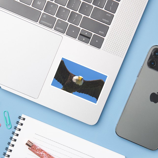 Bald Eagle Flyby Up Close Sticker (Laptop w/ iPhone)