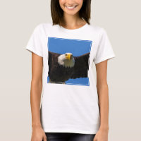 Bald Eagle Flyby Up Close