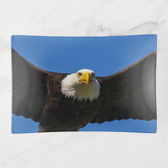 Bald Eagle Flyby Up Close Trinket Tray (Front)