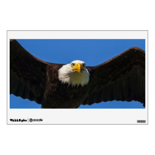 Bald Eagle Flyby Up Close Wall Decal