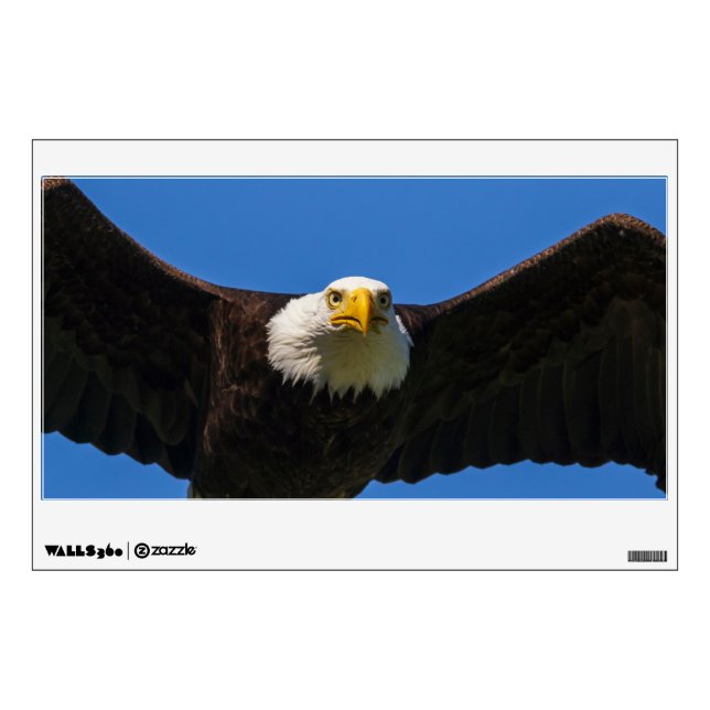 Bald Eagle Flyby Up Close Wall Decal (Front)