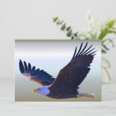 Bald Eagle Flying (Standing Front)