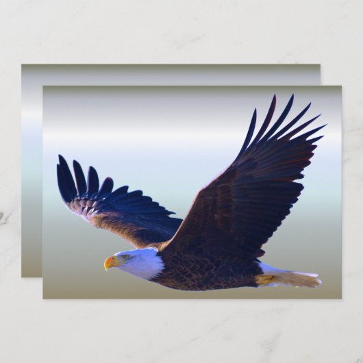 Bald Eagle Flying (Front/Back)