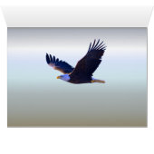 Bald Eagle Flying (Inside Horizontal (Bottom))